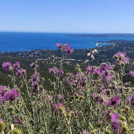 Aphrodite By Kleidos - Tres Belle Maison 6 P Climatisee Golfe Sainte Maxime Roquebrune-sur-Argens Buitenkant foto