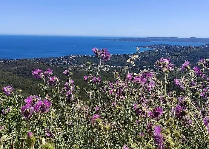 Aphrodite By Kleidos - Tres Belle Maison 6 P Climatisee Golfe Sainte Maxime
