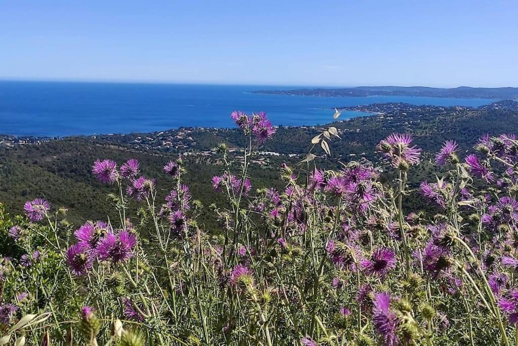 Aphrodite By Kleidos - Tres Belle Maison 6 P Climatisee Golfe Sainte Maxime Roquebrune-sur-Argens